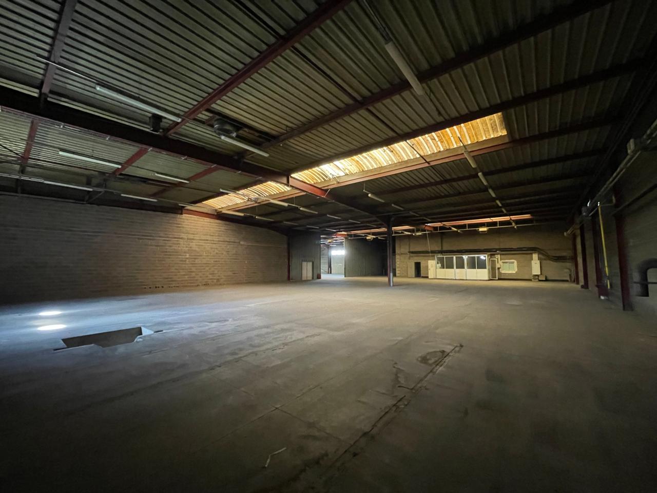 Local d'activité Erstein 1690m² Location local d'activité Erstein Bas-Rhin OLACT2313692 7